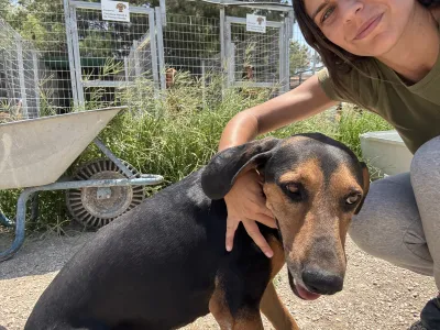 Adopt Konstantinos