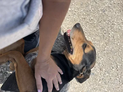 Adopt Konstantinos