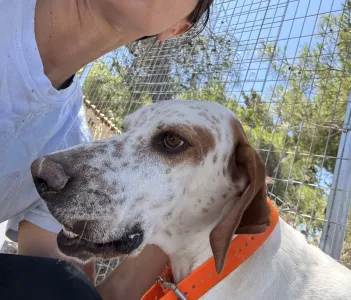 Adopt Locky