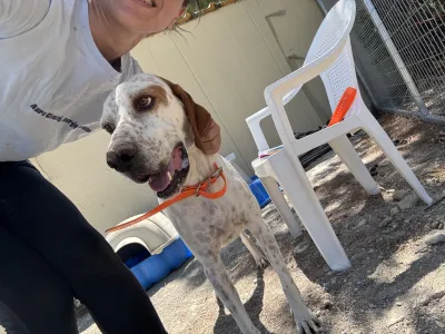 Adopt Locky