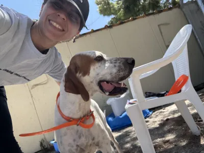 Adopt Locky