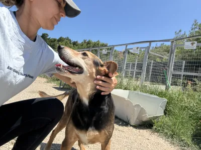 Adopt Faidra