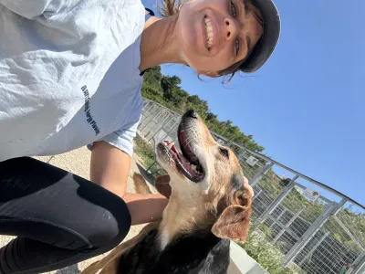Adopt Faidra