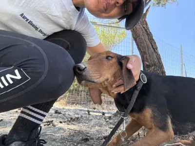 Adoptionsprofil für Koula