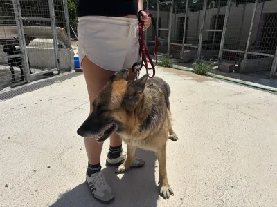 Adoptionsprofil für Alina