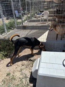Adoptionsprofil für Christos