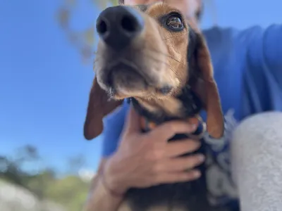 Adopt Christos