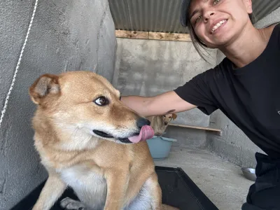 Adopt Leonidas