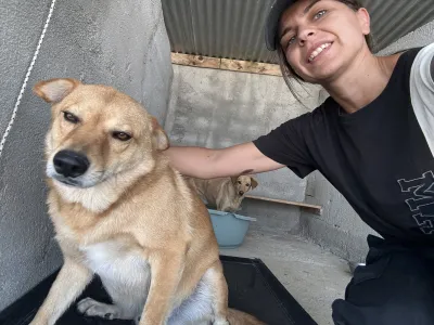 Adopt Leonidas