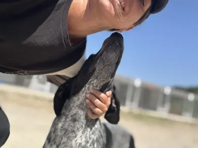 Adopt Sweet