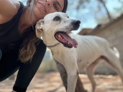 Hund Meli adoptieren