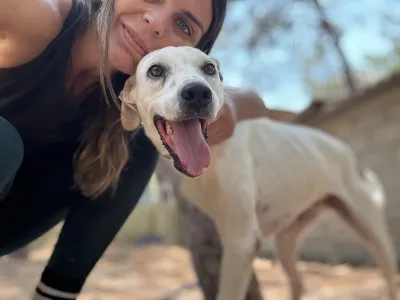 Hund Meli adoptieren
