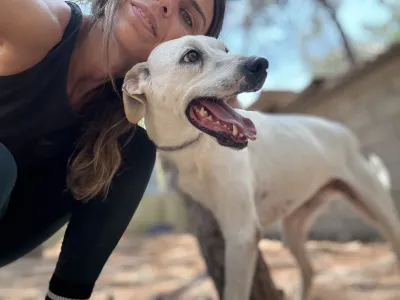 Hund Meli adoptieren