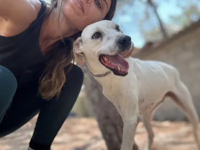 Hund Meli adoptieren