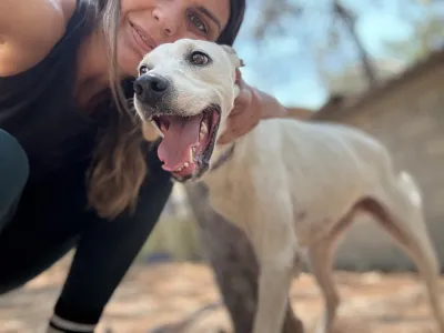 Hund Meli adoptieren