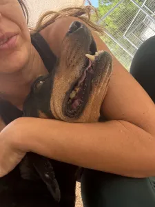 Adopt Kevin