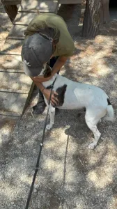 Adopt Max
