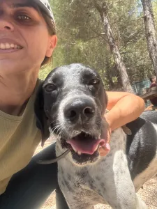 Adopt Konala