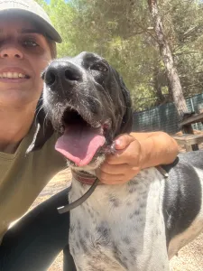 Adopt Konala