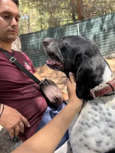 Adopt Konala