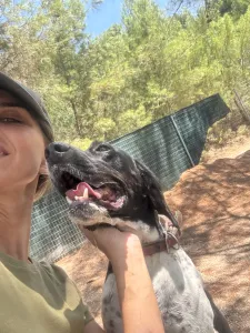 Adopt Konala