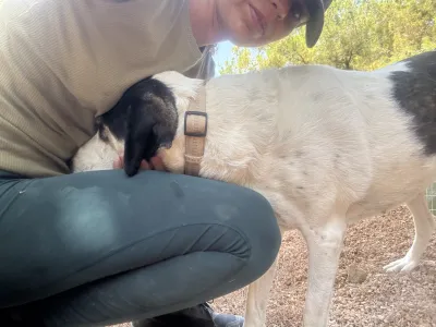 Adopt Nino