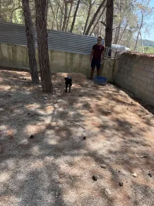 Adopt Noumero