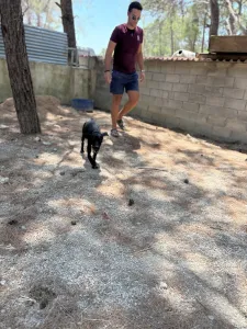 Adopt Noumero