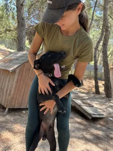 Adopt Noumero
