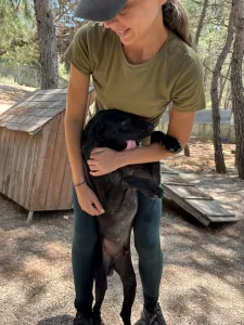 Adopt Noumero