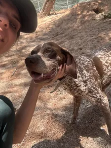Hund Choco adoptieren