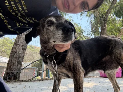 Adopt Bellitsa