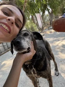 Adopt Bellitsa