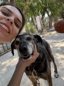 Adoption profile for Bellitsa