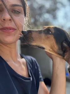 Hund Gek adoptieren