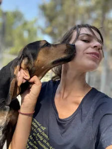 Hund Gek adoptieren