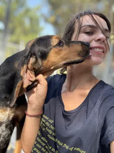 Hund Gek adoptieren
