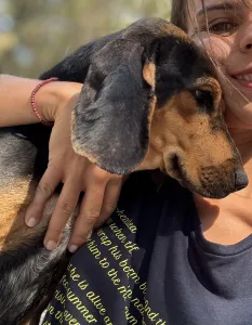 Hund Gek adoptieren