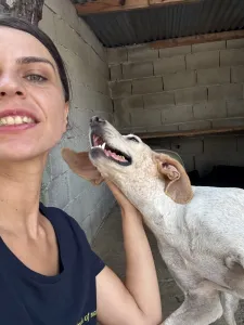 Adopt Ira