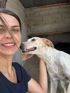 Adopt Ira