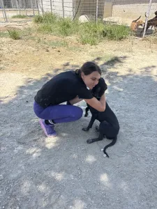 Hund Irida adoptieren