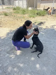 Hund Irida adoptieren