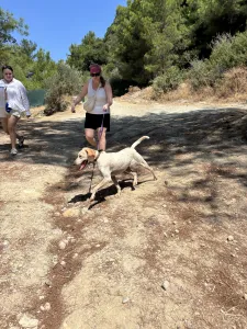 Adopt Ira