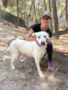 Hund Axi adoptieren