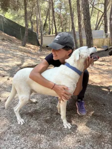 Hund Axi adoptieren