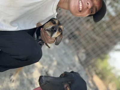 Adopt Ken
