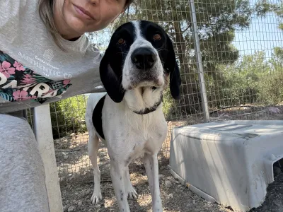 Adopt Gina