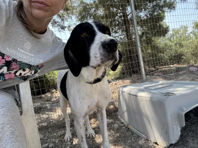 Adopt Gina