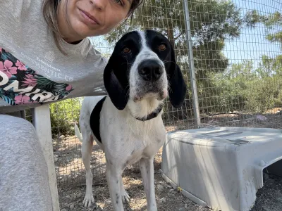 Adopt Gina