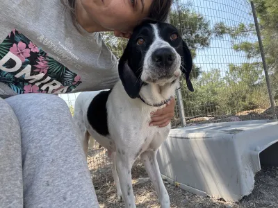 Adopt Gina